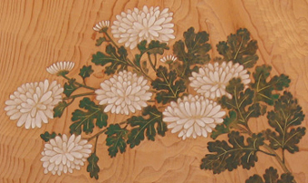 菊